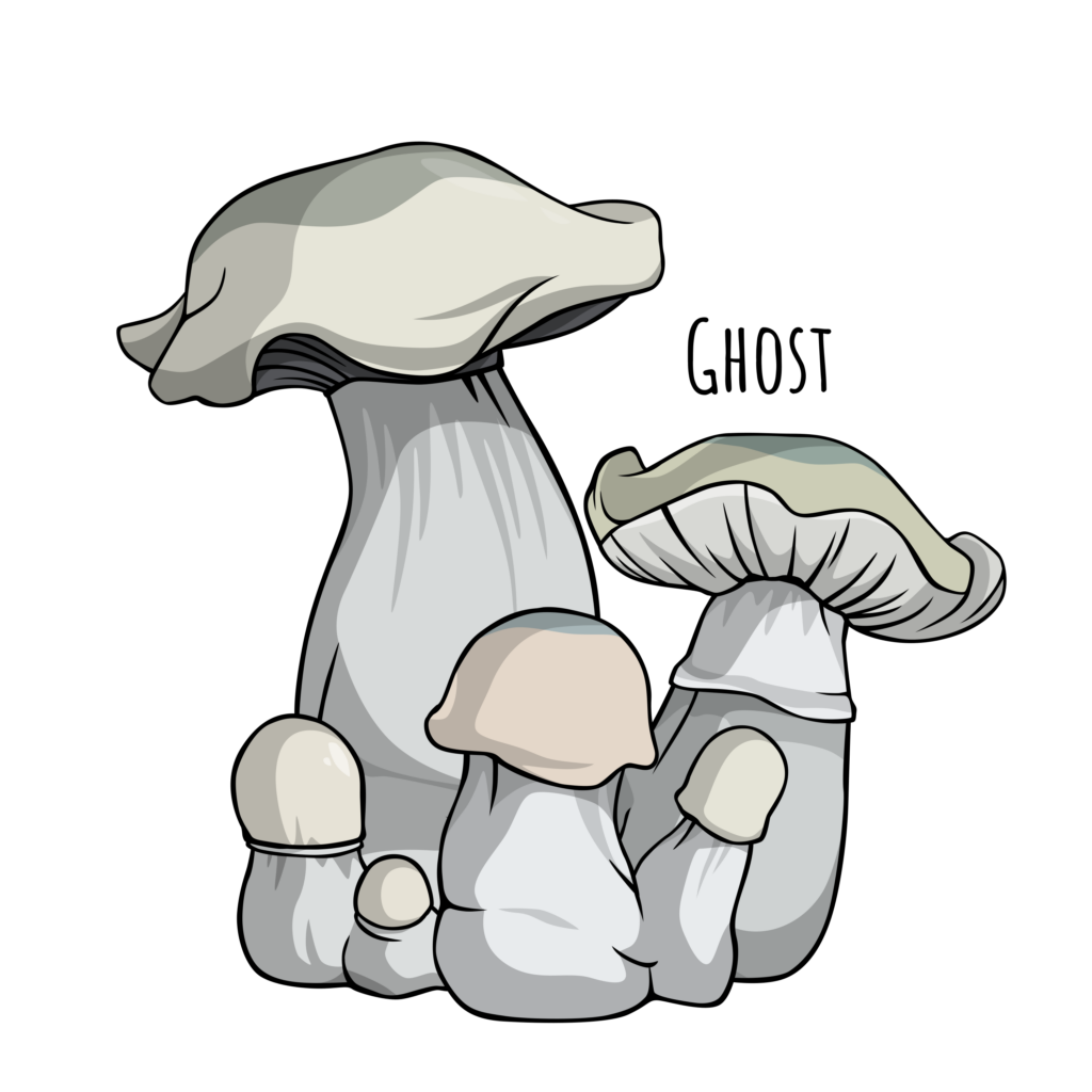 Ghost