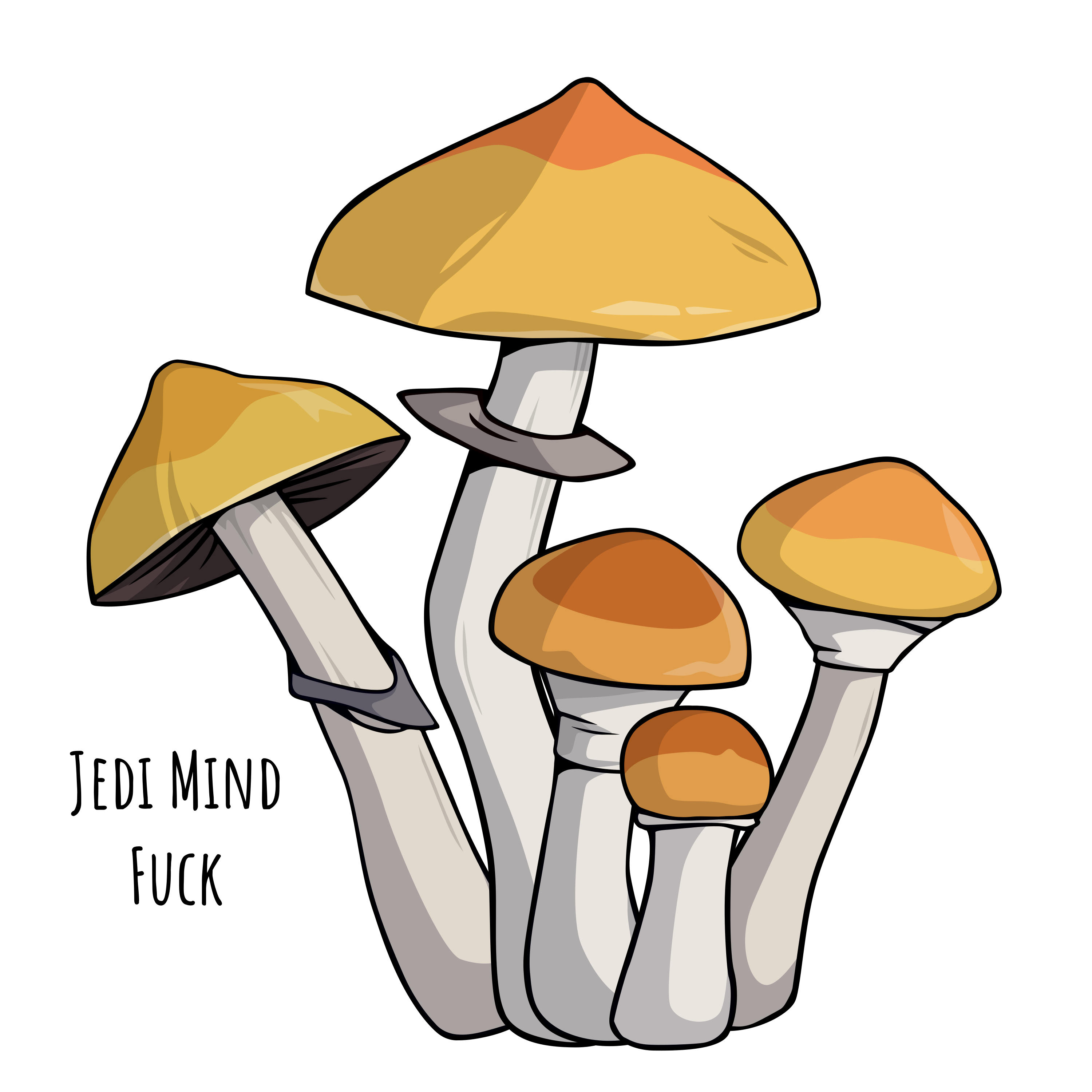 Jedi Mind Fuck