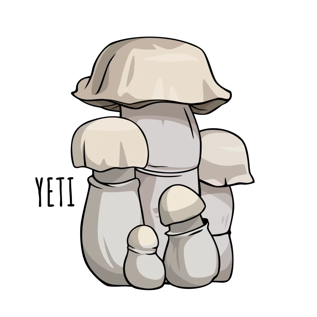 Yeti