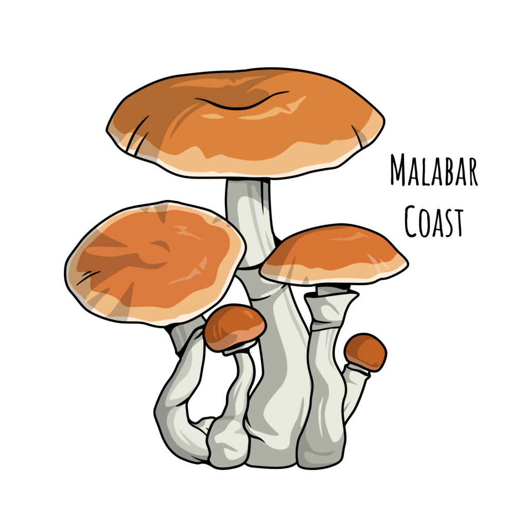 Malabar