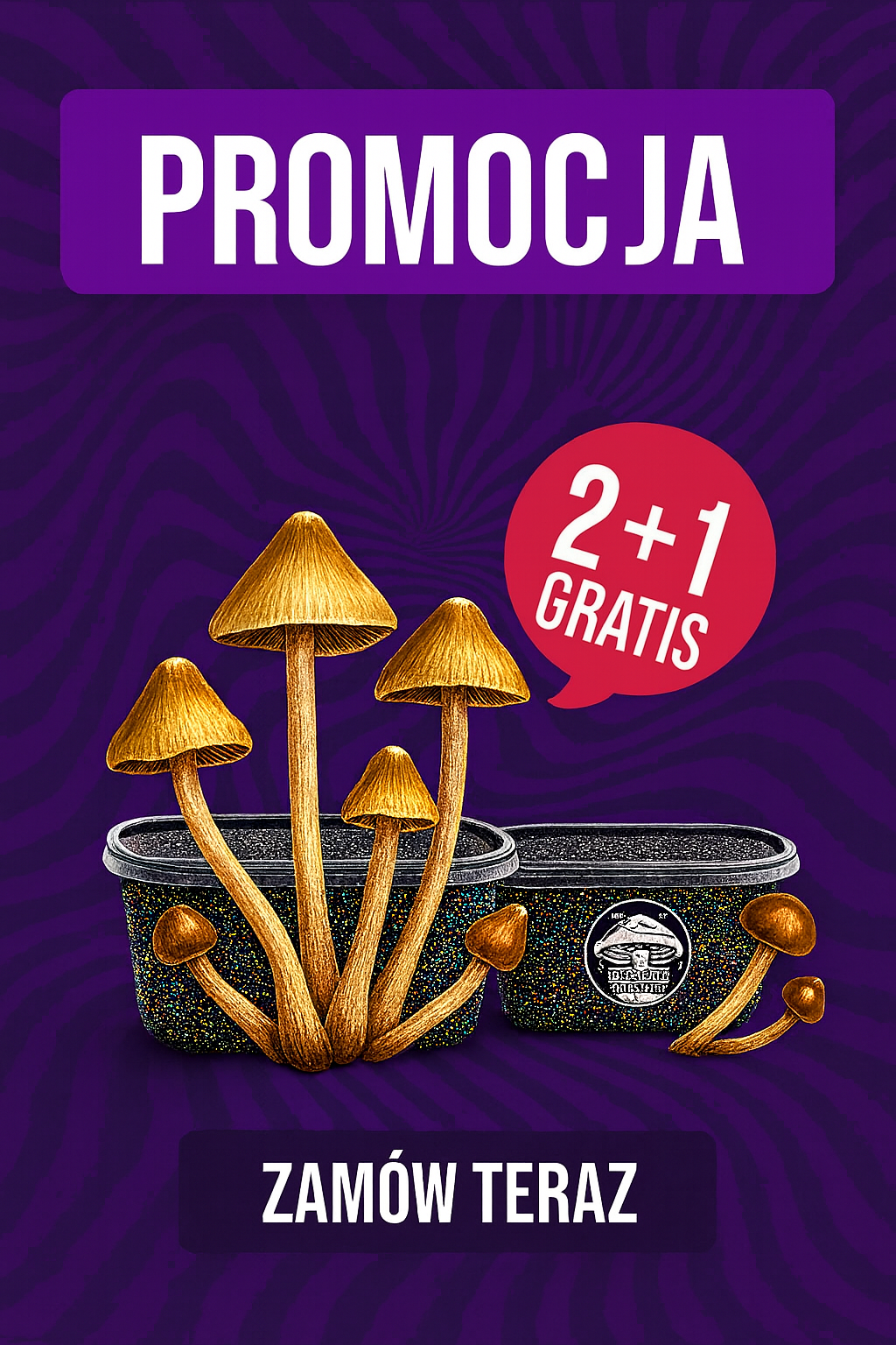 promocja growkitpoland