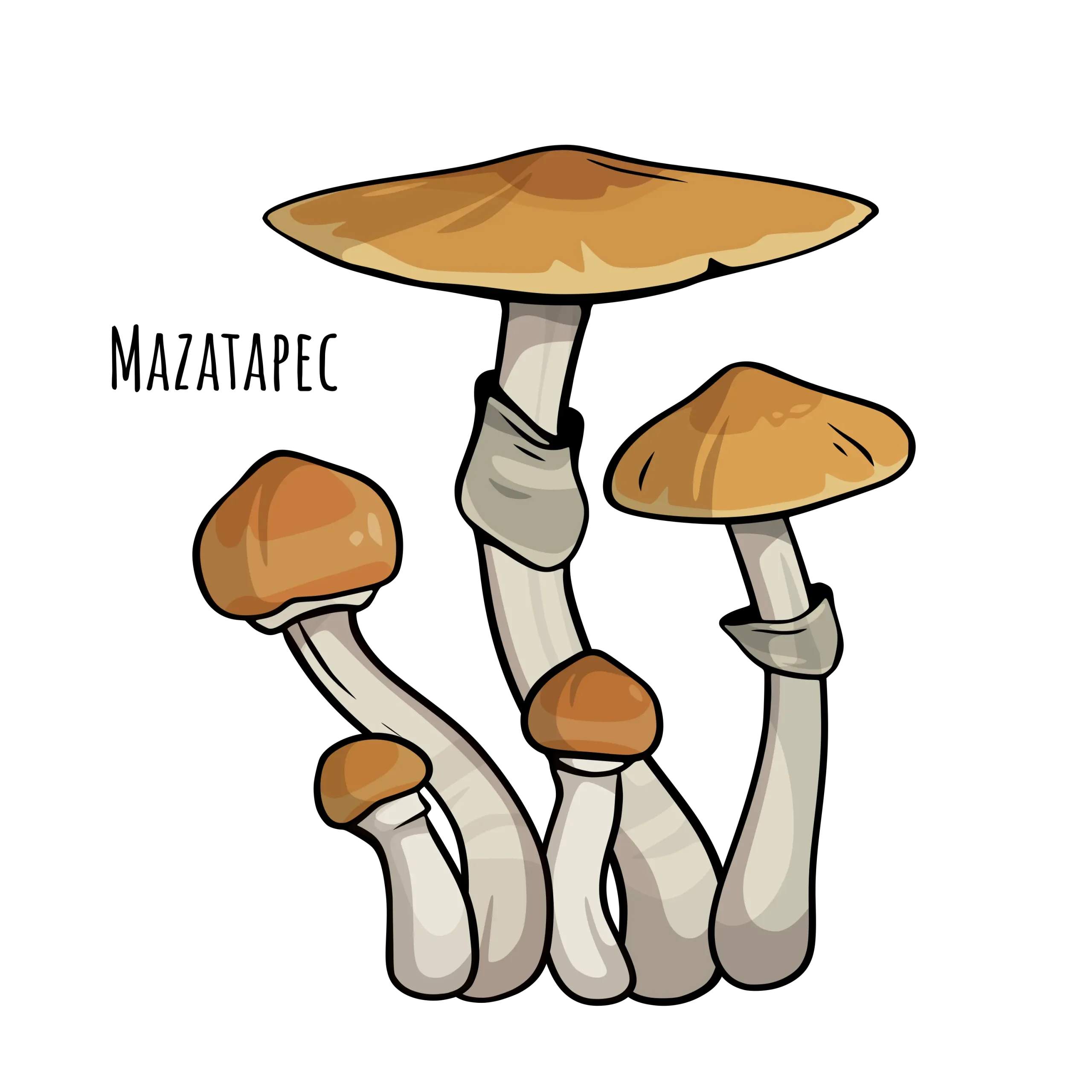 mazatapec